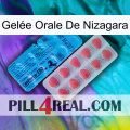 Gelée Orale De Nizagara new14